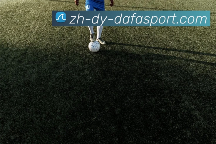 大发集团APP 高清赛事图